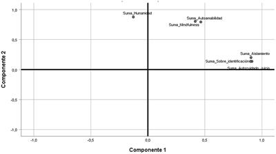 Mental health index of the elderly population in Medellín (Colombia)−2021: a factorial analysis